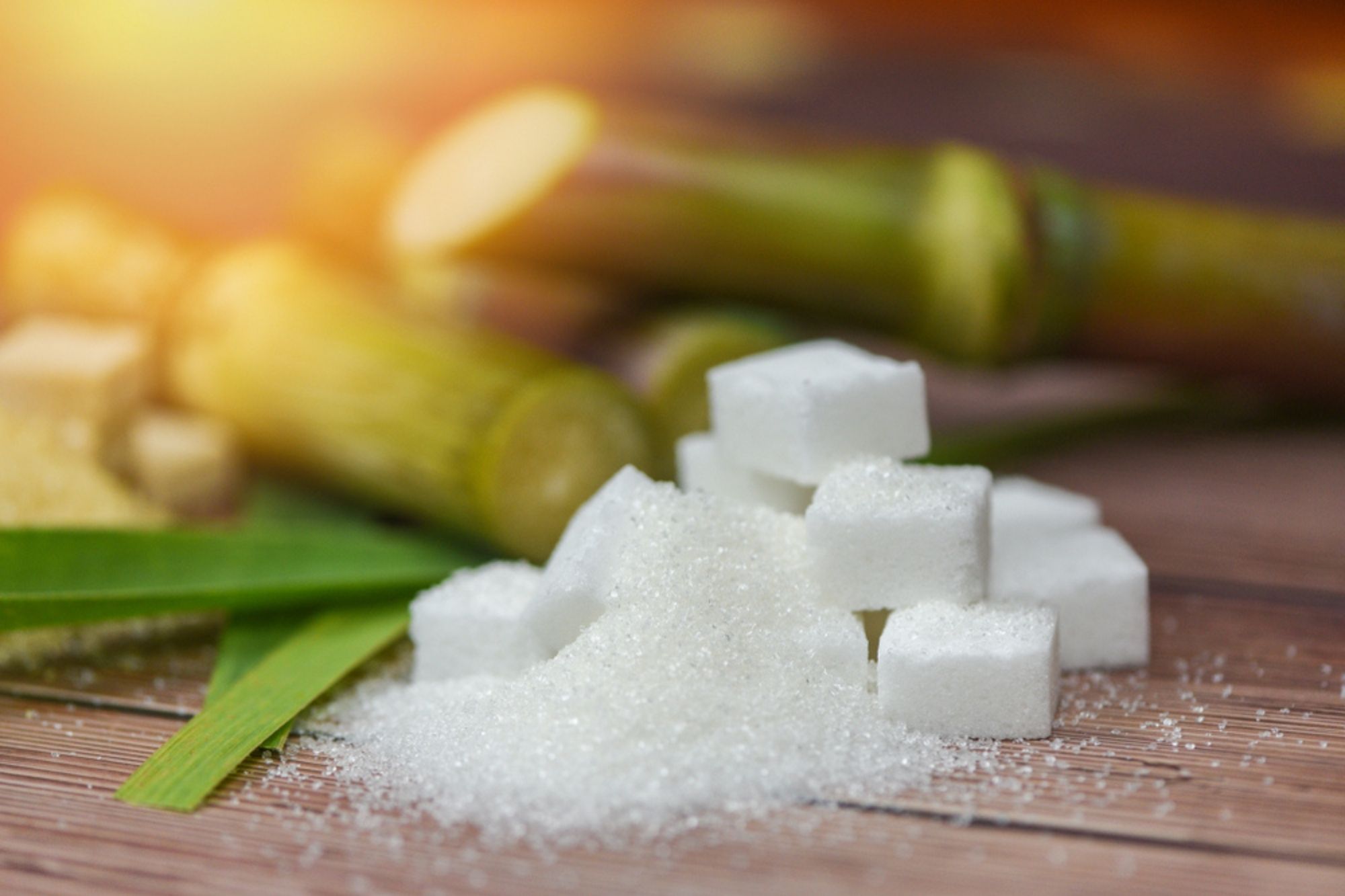 Sugar Industry
